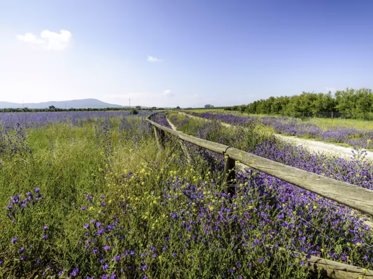 Más de 50 empresas participan ya en la fase piloto del programa ‘Huella Zero’ de Turismo Costa del Sol