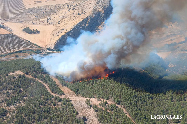 Efectivos del INFOCA luchan contra un grave incendio en el paraje forestal del ‘Cortijo Guerrero’ entre Antequera y Archidona