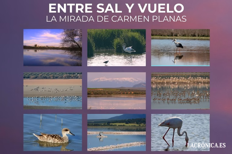 La laguna de Fuente de Piedra inspira la exposición ‘Entre sal y vuelo’ de la fotógrafa Carmen Planas