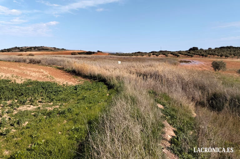 La Junta de Andalucía adquiere los terrenos de la Laguna de Camuñas, en Campillos, para llevar a cabo su restauración ambiental