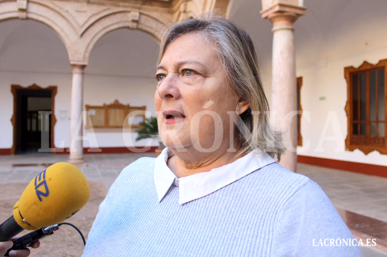 Izquierda Unida explica su voto en contra de los presupuestos municipales al considerar que Antequera “no avanza”