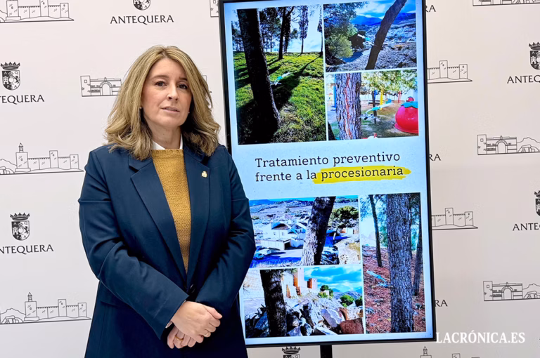 El Ayuntamiento de Antequera trata más de 880 pinos con endoterapia para frenar la procesionaria
