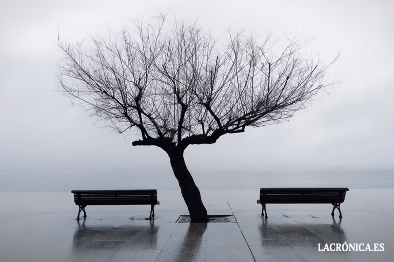 AFA vuelve al Centro FIAP de la Casa de la Cultura con la inauguración este viernes 6 de la exposición ‘Urban & Nature 2’, de José Arias Cuevas