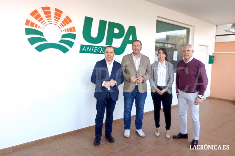 El PSOE informa en Antequera sobre las ayudas estatales por los daños de las borrascas en el campo