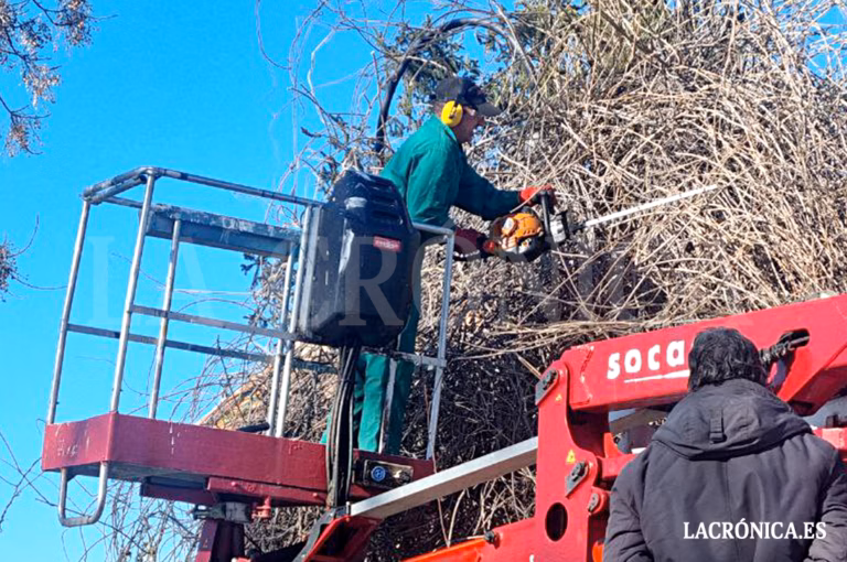 La ciudad de Antequera inicia el mes de marzo con un descenso en sus cifras de desempleo de 26 personas
