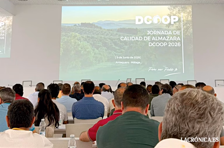 Dcoop refuerza la formación de los profesionales de sus almazaras para impulsar la calidad y la sostenibilidad