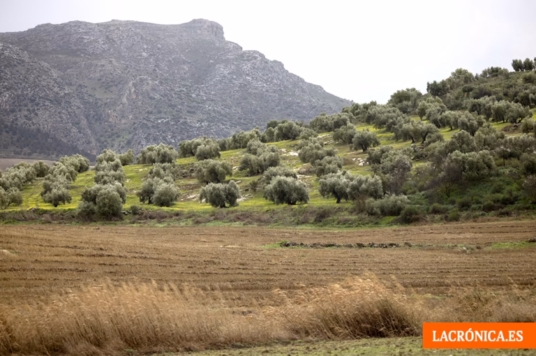La Diputación eleva a 5,4 millones las ayudas al campo, la ganadería y la pesca