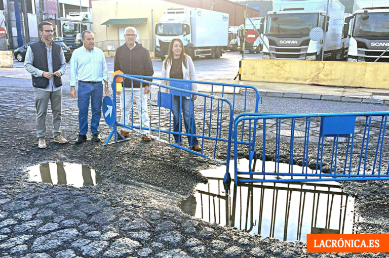 Los socialistas denuncian el deterioro de las calles del Parque Empresarial de Antequera y reclaman un plan de asfaltado